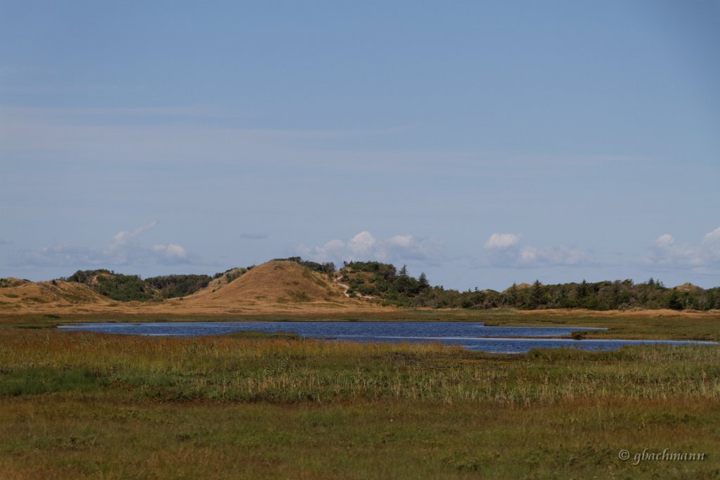 20140805_027